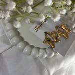 Star shaped anti tarnish earring.