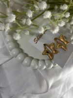 Star shaped anti tarnish earring.