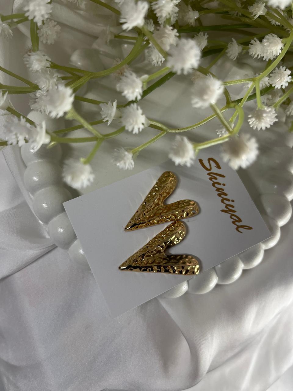 WhatsApp Image 2026-06-01 at 10.16.20 PM (2) Heart shaped anti tarnish earring. - Image 1