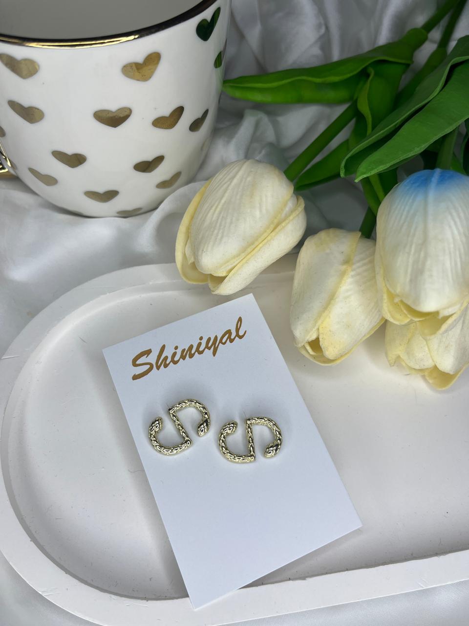 WhatsApp Image 2026-06-01 at 10.16.20 PM (35) S shaped anti tarnish earring. - Image 1