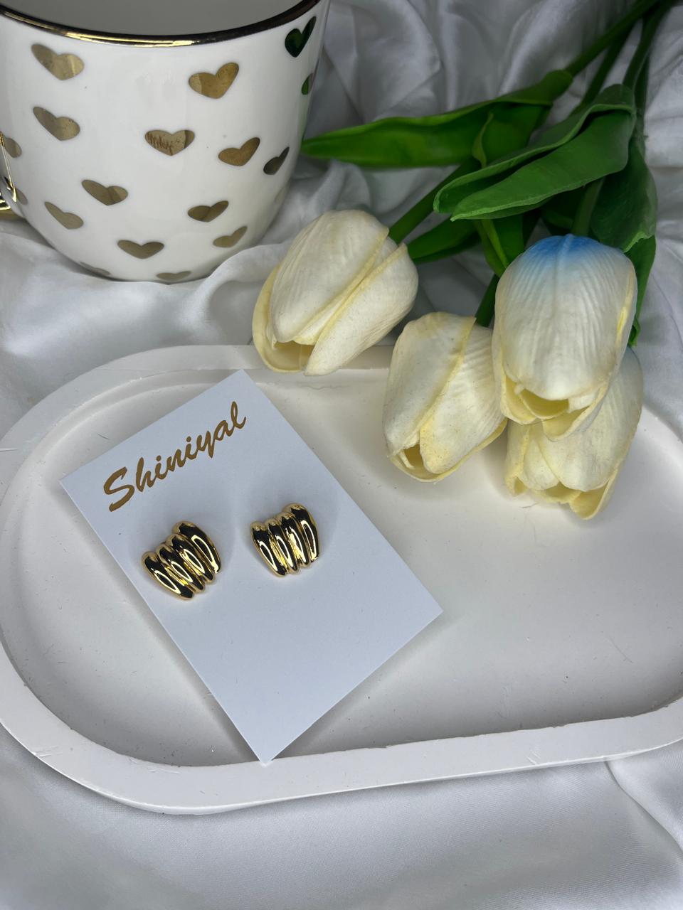 WhatsApp Image 2026-06-01 at 10.16.21 PM (2) Gold Claw anti tarnish earring. - Image 1